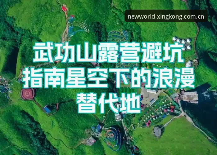 星空平台入口避坑指南｜2025纪元版正确打开方式